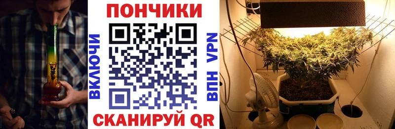 Бошки марихуана планчик  MEGA ТОР  Вышний Волочёк 